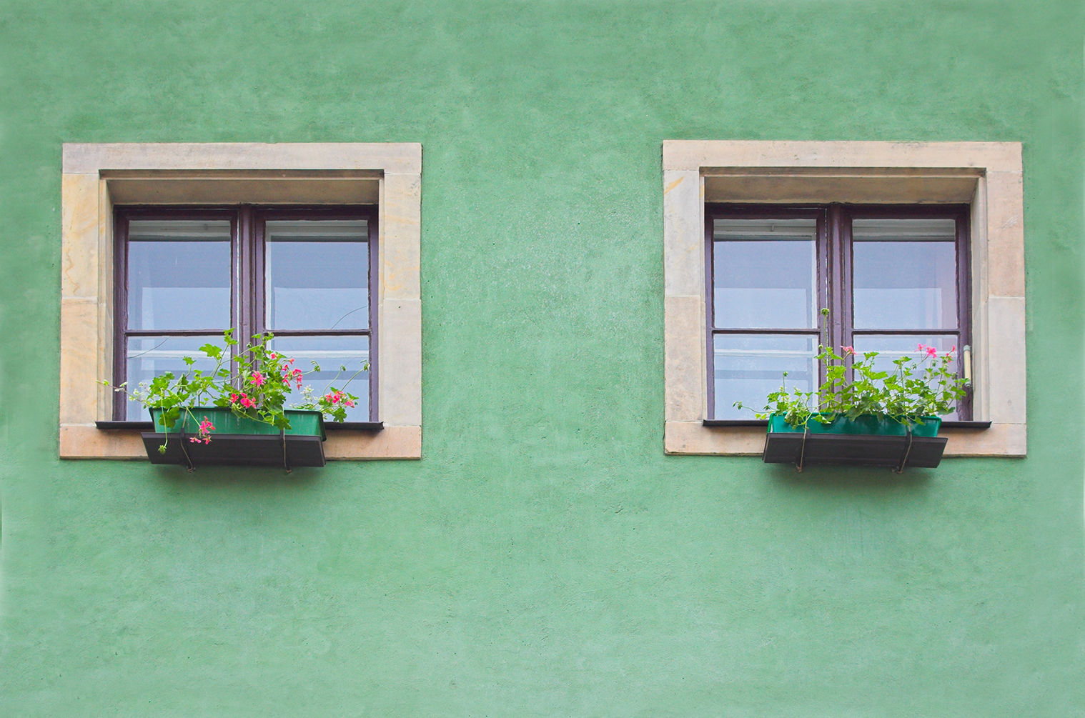 Ventanas de madera oscura con marco de piedra sobre fachada verde, con jardineras con flores